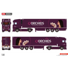CJ Orchids