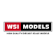 WSI models